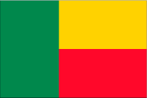 Cotonouの国旗です