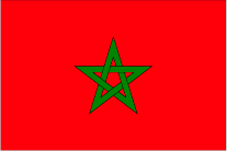 モロッコの国旗です