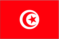 チュニスの国旗です