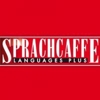 Sprachcaffe, Niceのロゴです
