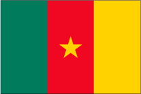 Cameroonの国旗です