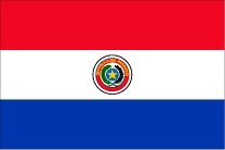 Paraguayの国旗です
