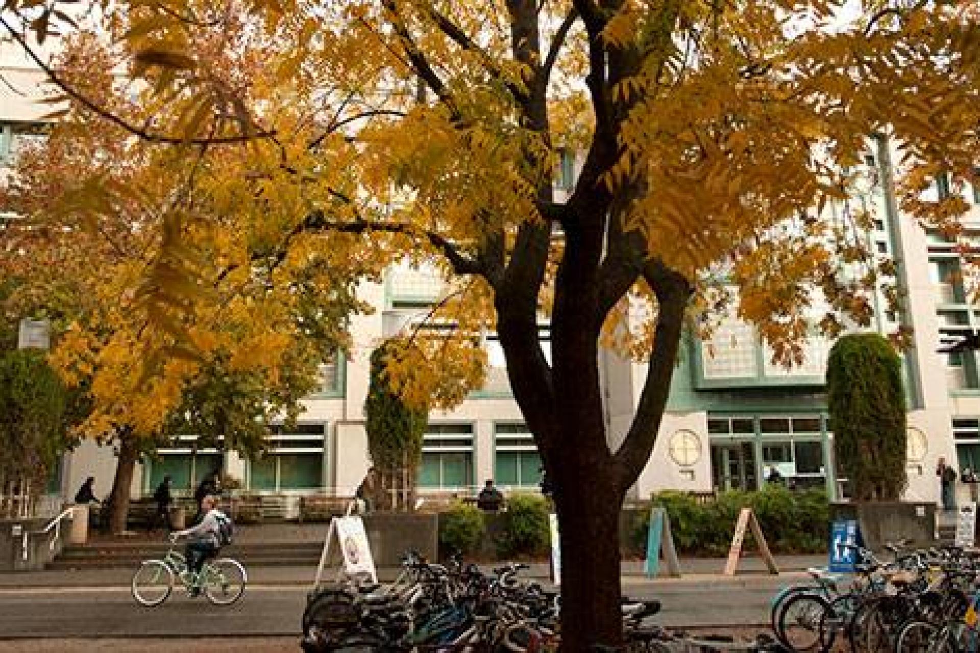 カリフォルニア大学デービス校 アメリカ カリフォルニア州 デイビス 留学ならアブログ