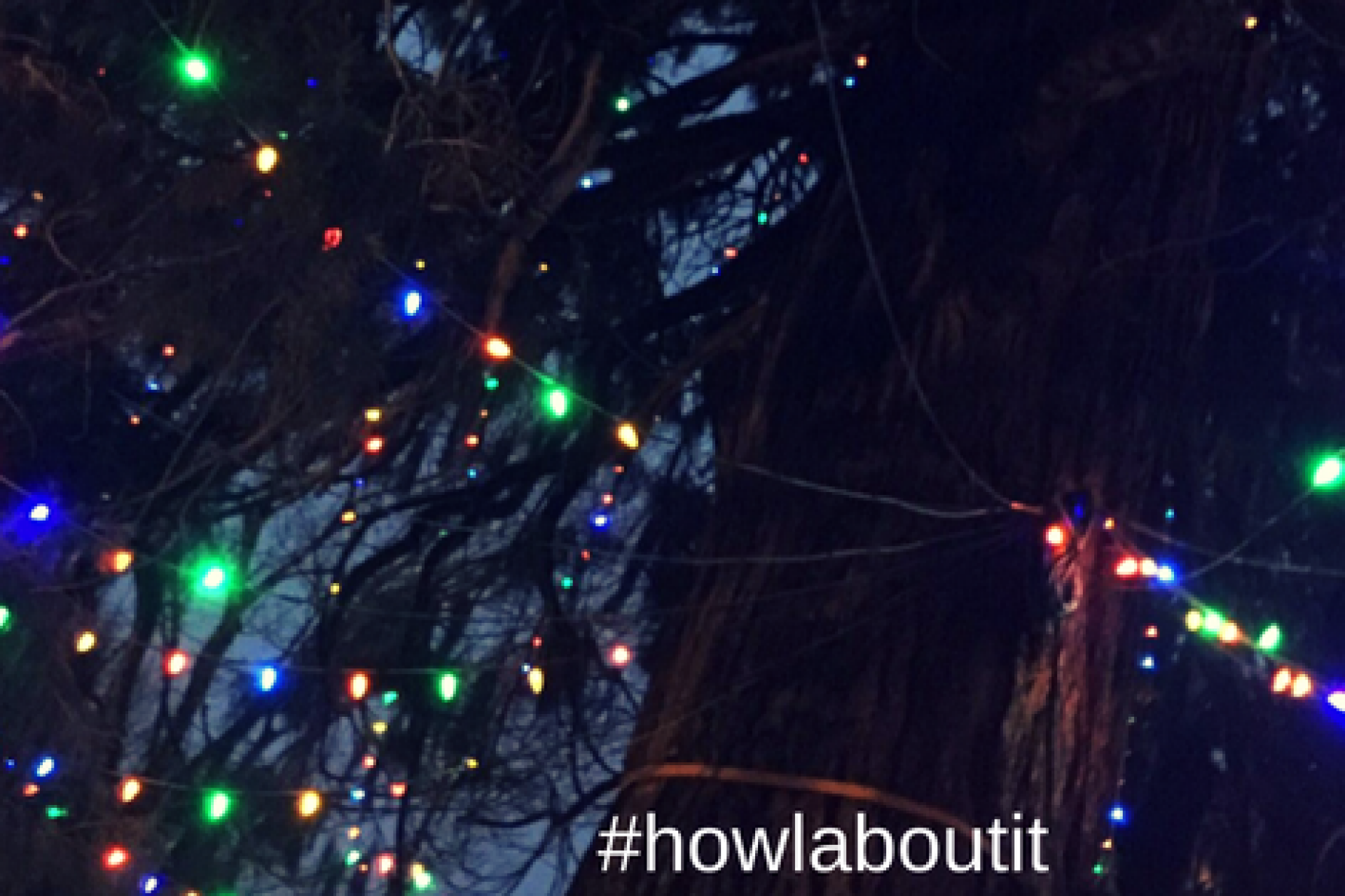 西オレゴン大学 アメリカ オレゴン州 モンマス 留学ならアブログ