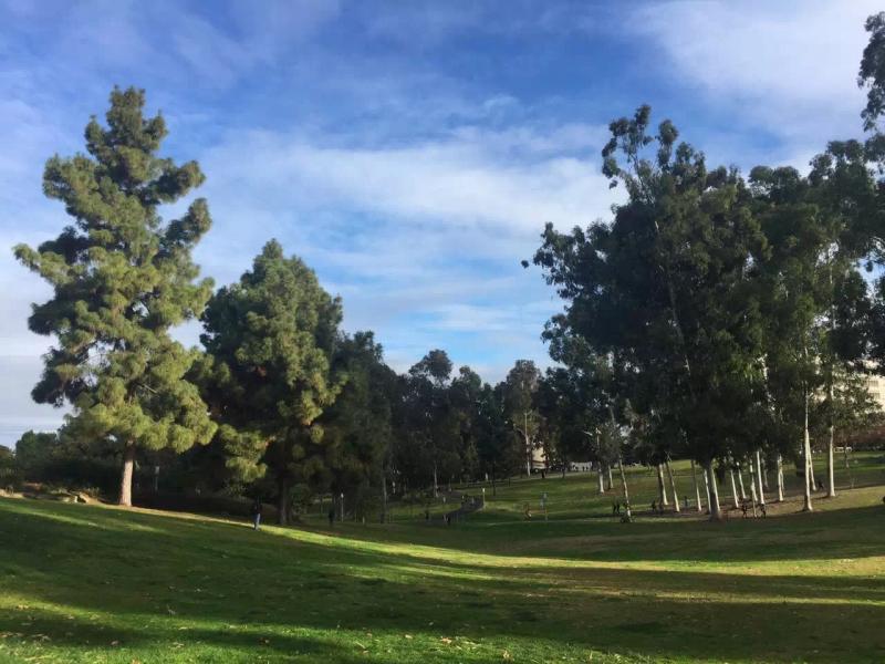 Aldrich Park Aldrich Park