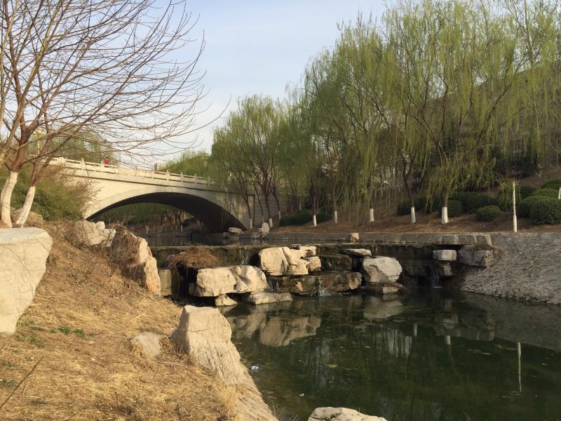 キャンパス内を流れる川 キャンパス内を流れる川