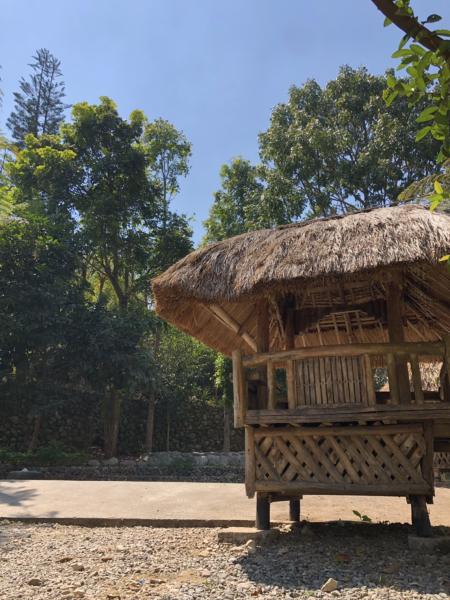 バンブーハウス