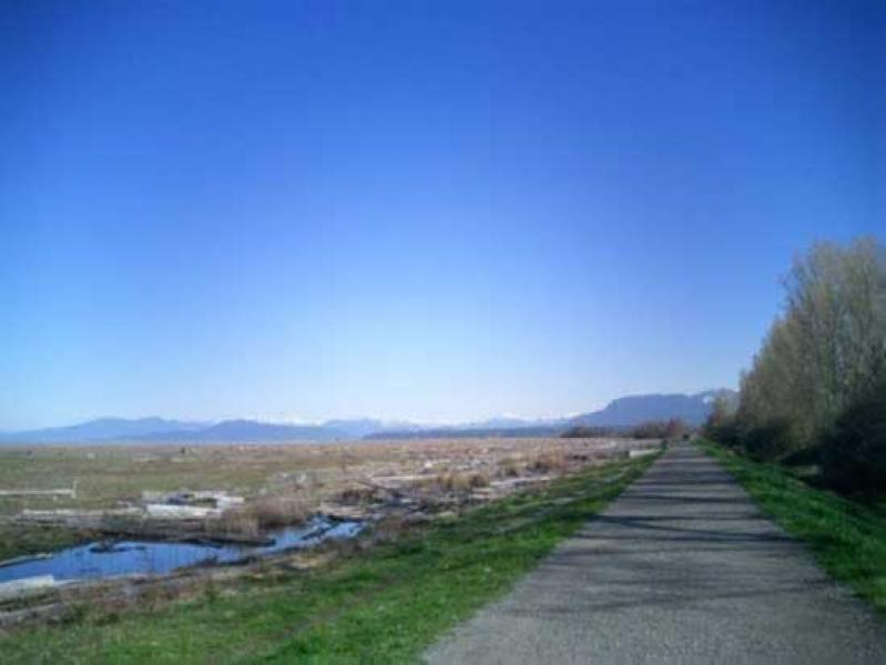 Dyke Trails in Richmond