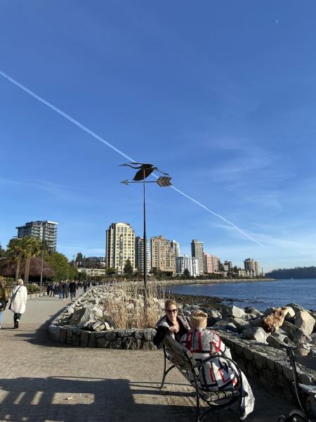 海辺 ocean 海辺 ocean