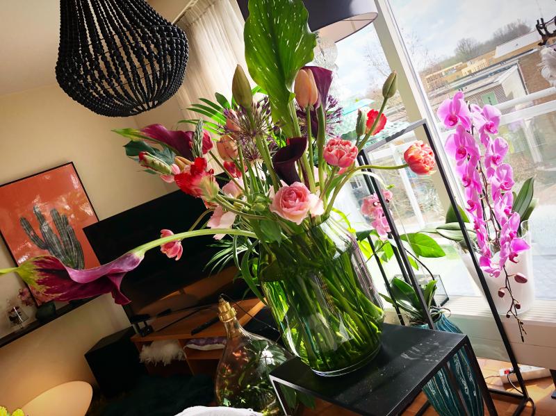 Holland is the best city I’ve ever stayed