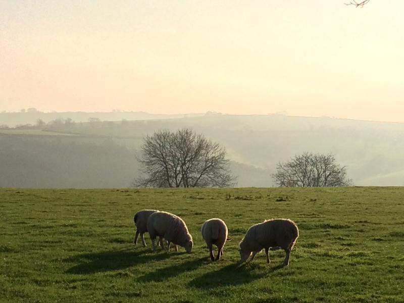 フットパスから見た景色