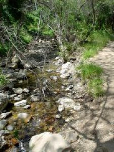 トレイルでの一枚