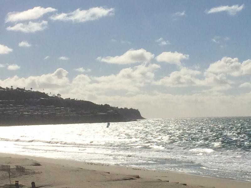 日本人も多く住む街トーランス 日本人も多く住む街トーランス