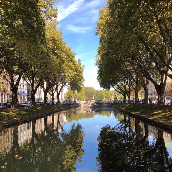 世界一美しい並木道