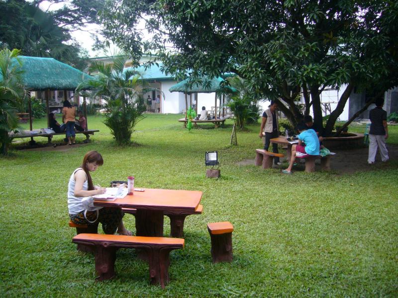 広い敷地内にみんな一緒