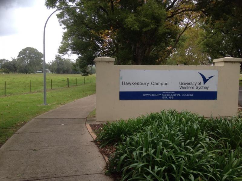 ホークスベリーキャンパス