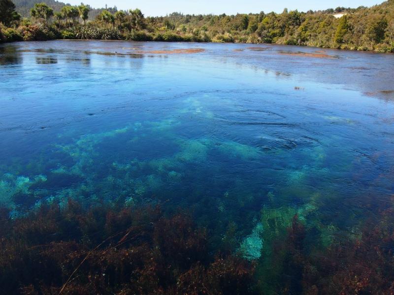 Pupu Springs Pupu Springs