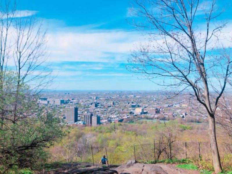 モンロワイヤルで撮った写真