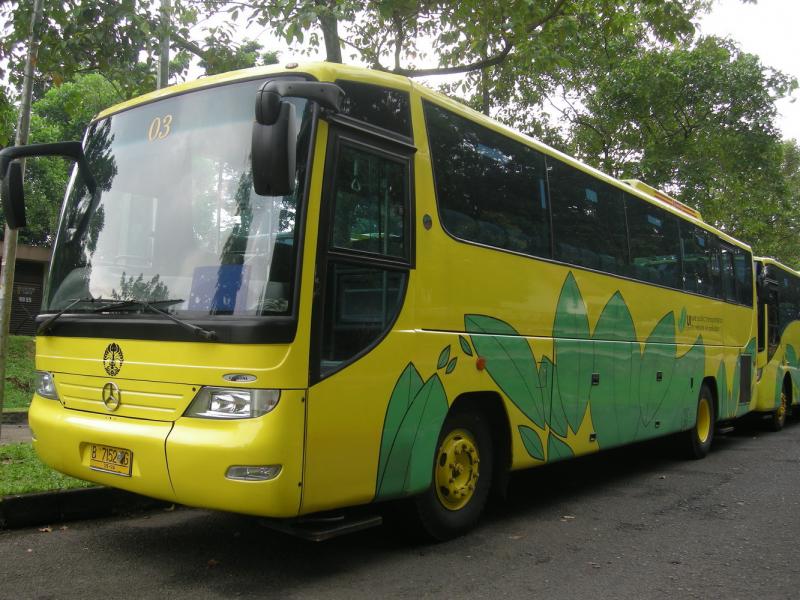 ビスクニン ビスクニン