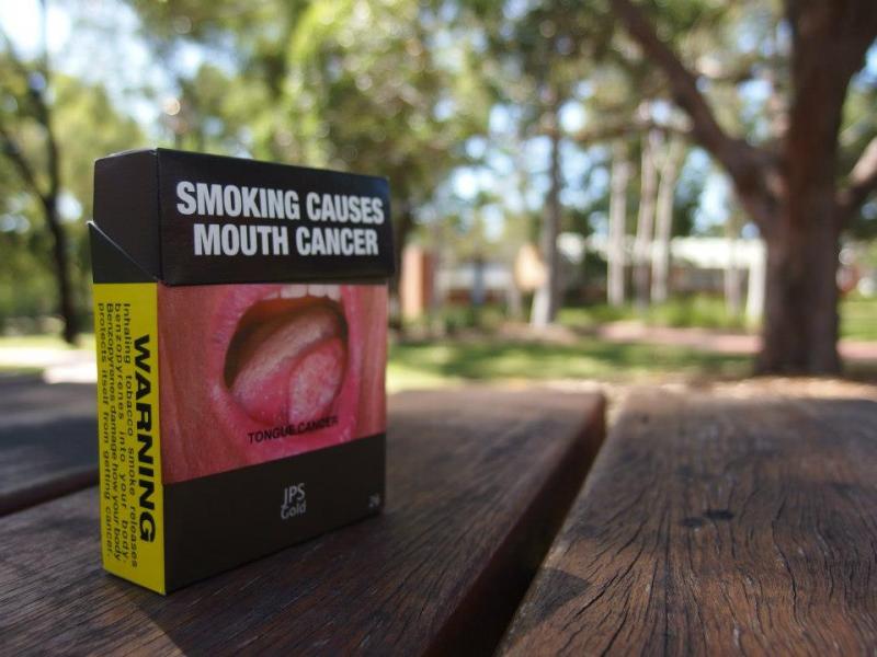 ピクニックテーブル ピクニックテーブル