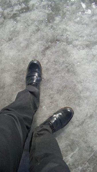 アメリカ留学 パトカーから事情聴取編