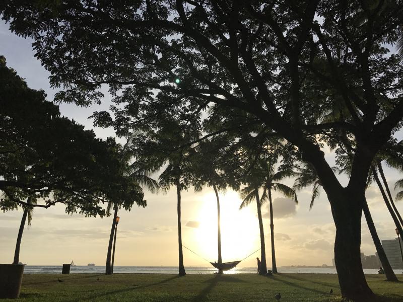 ワイキキビーチ