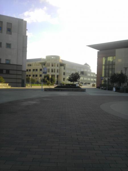 CSUSM CSUSM