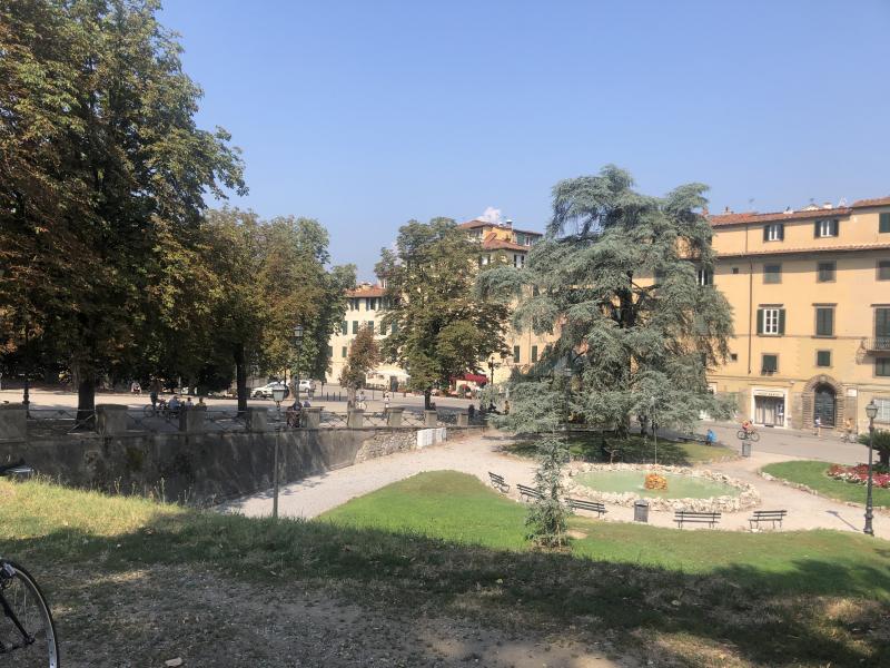 ♢食×芸術×自然♢トスカーナLucca