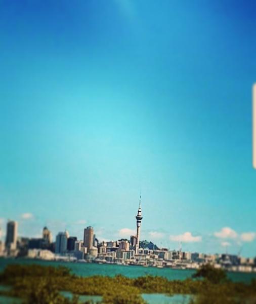 Auckland Skyline
