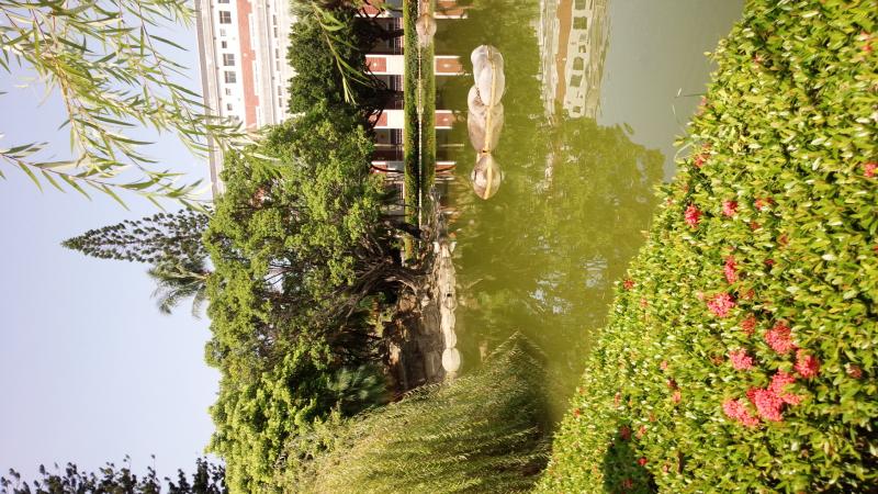 語学センター前成功湖 語学センター前成功湖