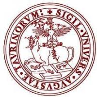 University of Turinのロゴです