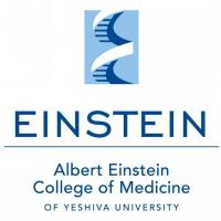 Albert Einstein College of Medicineのロゴです