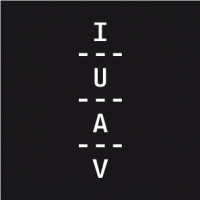 University Iuav of Veniceのロゴです