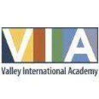 Valley International Academyのロゴです