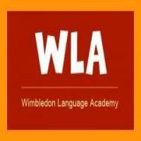 Wimbledon Language Academyのロゴです