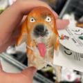andudn225さんのアイコンです