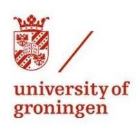 University of Groningenのロゴです