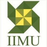 Indian Institute of Management Udaipurのロゴです