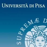 University of Pisaのロゴです
