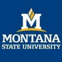 Montana State Universityのロゴです