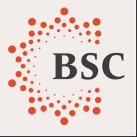 BSC Education, Brightonのロゴです