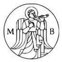 City of Basel Music Academyのロゴです