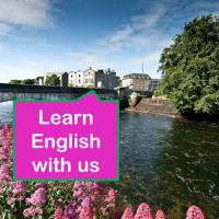 Bridge Mills Galway Language Centreのロゴです